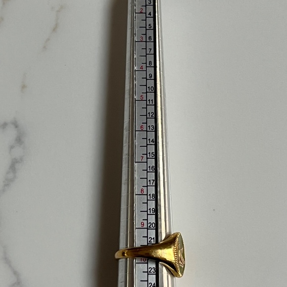 Miansai Men's Ring - Ma'at Gold Vermeil and Sage Enamel  Size 10  MSRP $185 - Picture 10 of 10